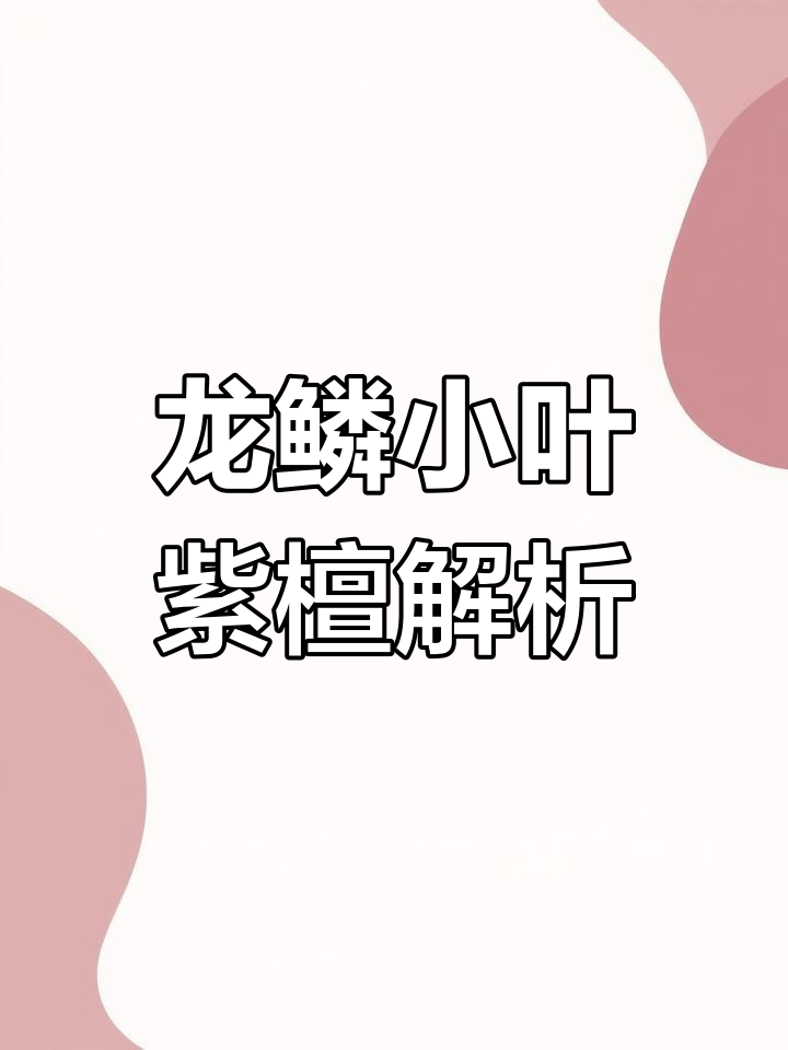 小叶紫檀龙鳞纹:油性密度与毛孔的完美结合