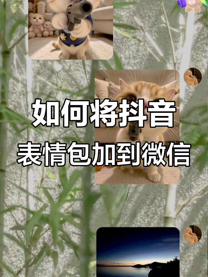 如何在微信上添加抖音动图表情包,超简单教程