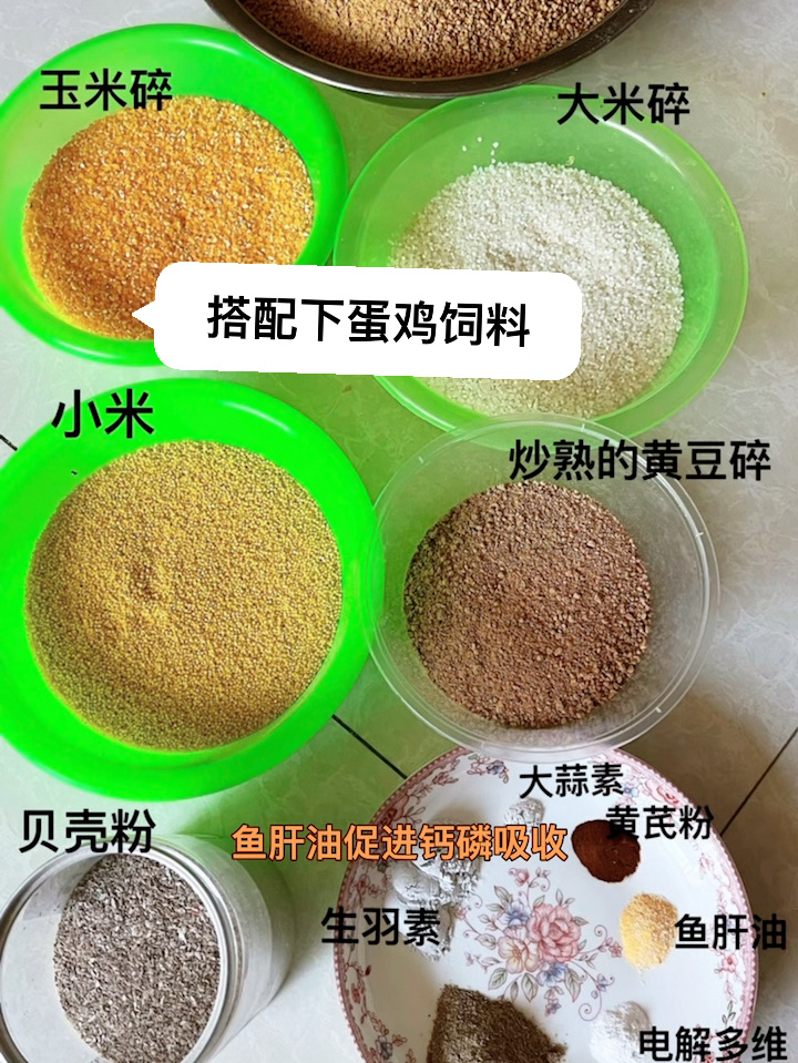 怎样搭配下蛋鸡饲料