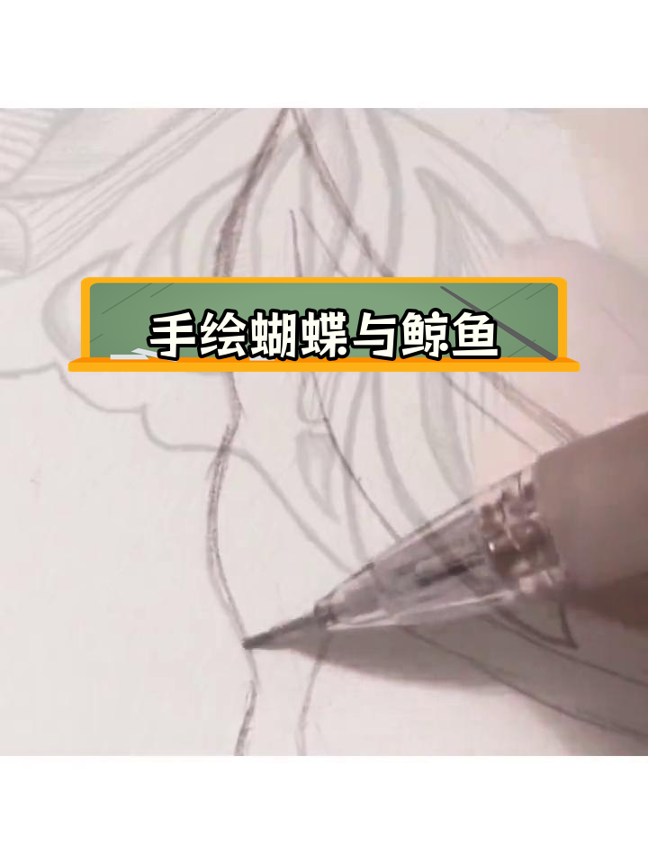 蝴蝶与鲸鱼的浪漫故事,手绘临摹教程