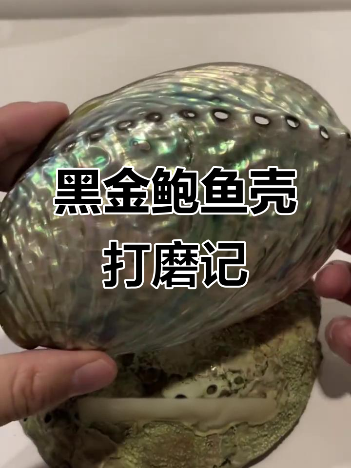 磨黑金鲍鱼壳的奇妙之旅，三小时搞定三分之一