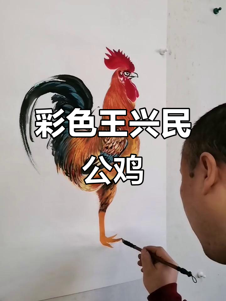 王兴民国画公鸡:纯手绘彩色大公鸡,国画技艺展示