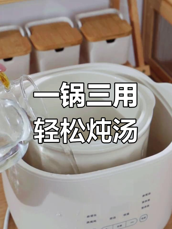 隔水炖盅,一锅多用途,煲汤煮粥甜品全能搞定