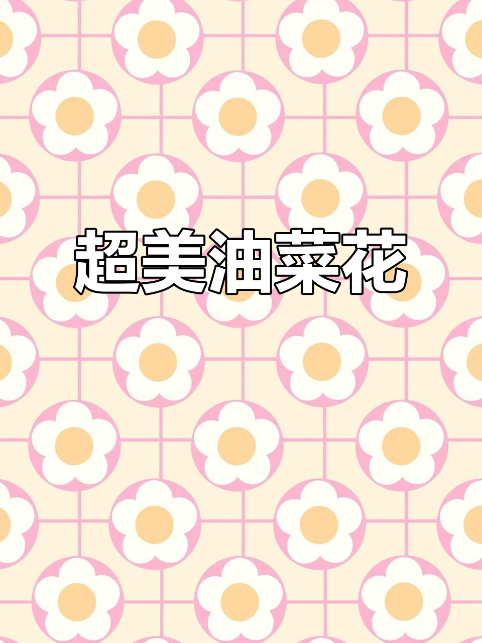 丙烯马克笔下的油菜花,超治愈!