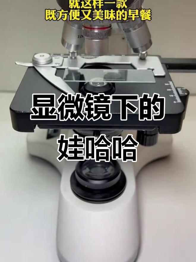 显微镜下看娃哈哈八宝粥，原来每一颗都这么有趣！