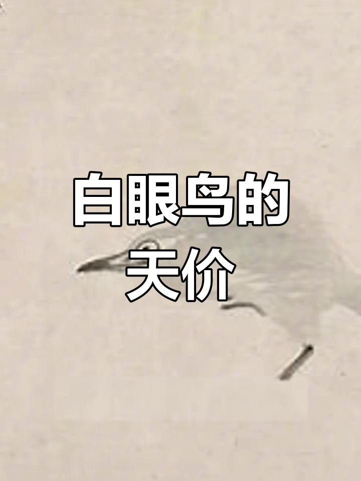 一只白眼小鸟,竟值六千万!