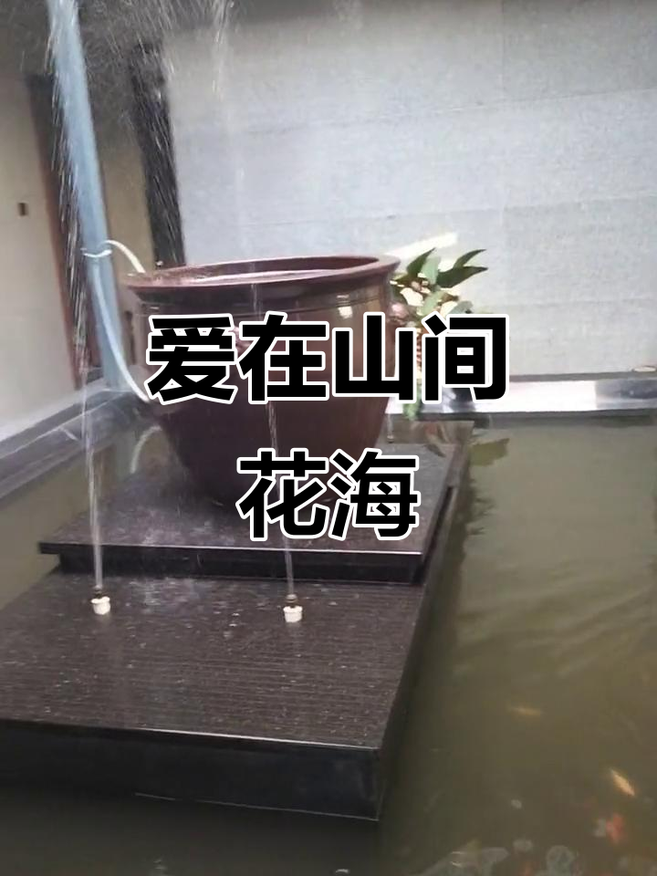 九鱼与格桑花的爱情故事,甜蜜的彩蝶飞舞