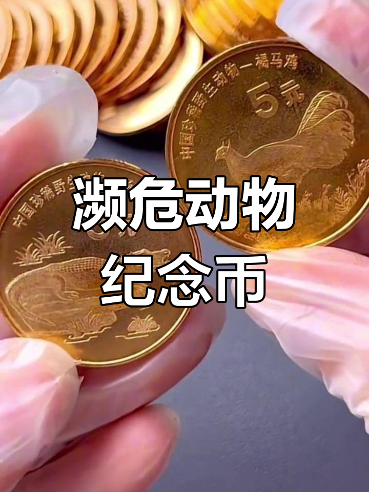 褐马鸡与扬子鳄纪念币:珍稀动物保护的见证