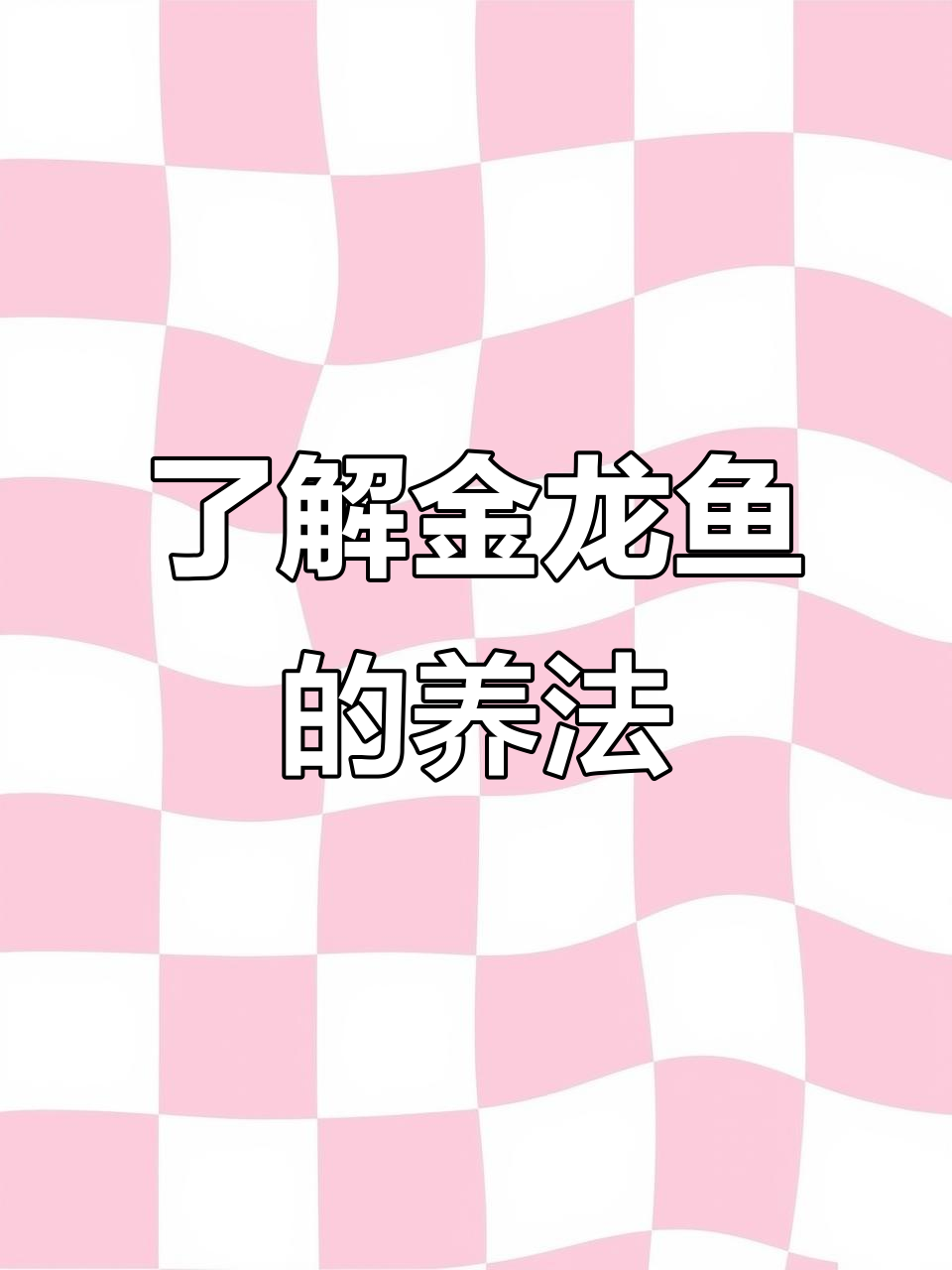 金龙鱼品种揭秘:从高背到古典过背的真相