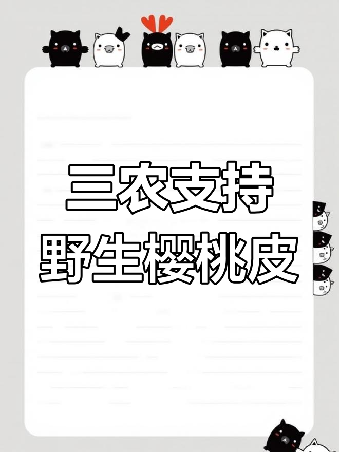 野樱桃树皮收购,助力三农发展