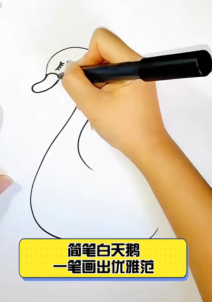 简笔白天鹅,一笔画出优雅范