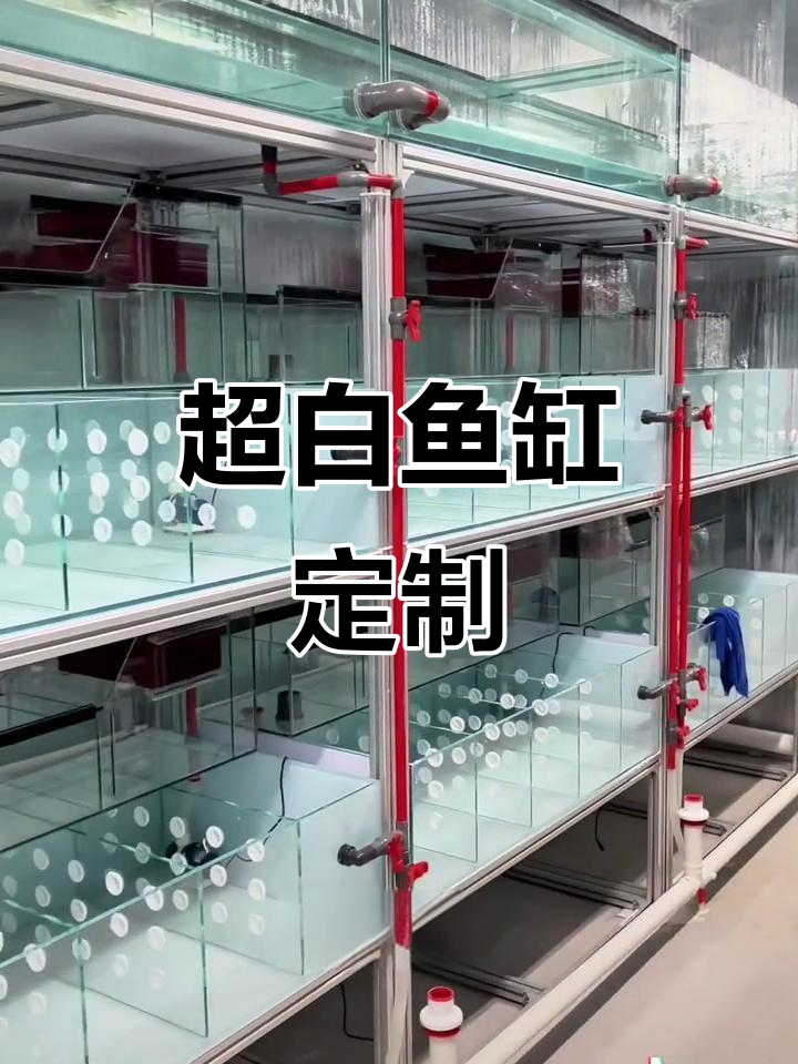 定制鱼缸，超白设计，现场制作，适合各种空间
