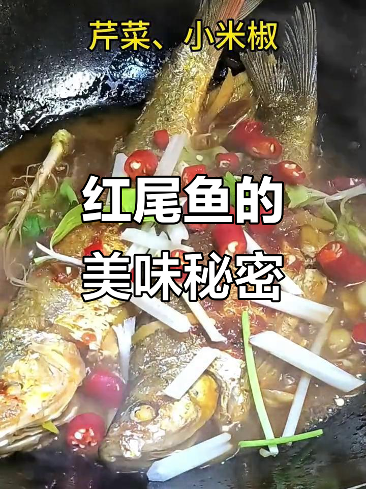 红尾鱼肉质鲜美,营养丰富,适合多种烹饪方式