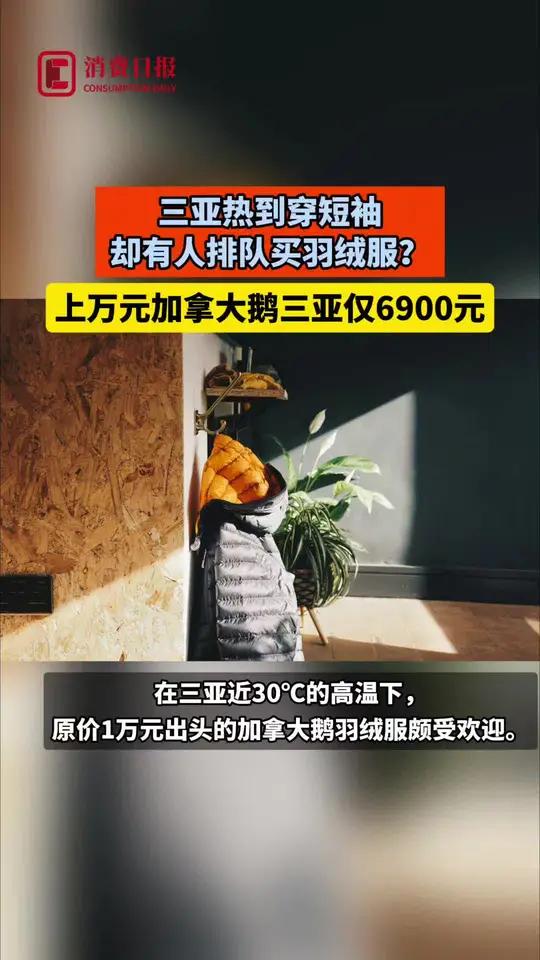 三亚热到穿短袖,却有人排队买羽绒服?上万元加拿大鹅三亚仅6900元