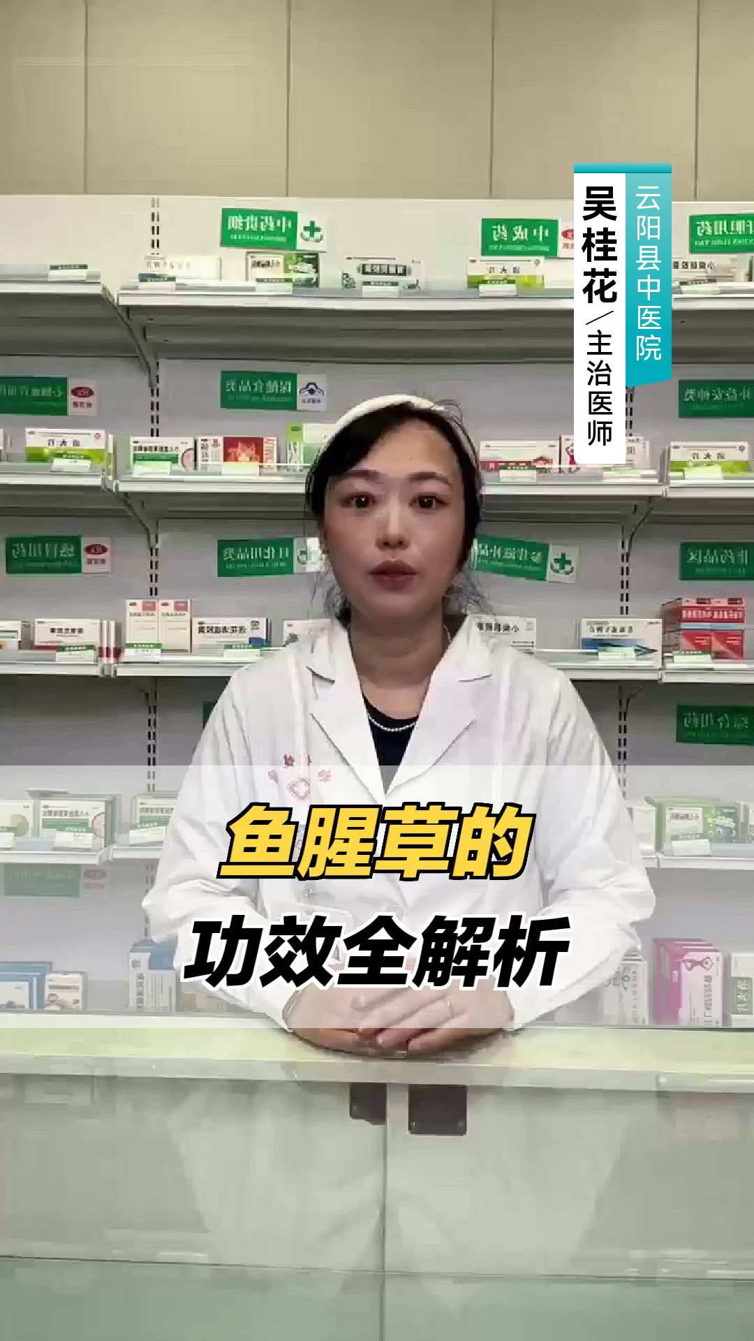 鱼腥草的功效全解析