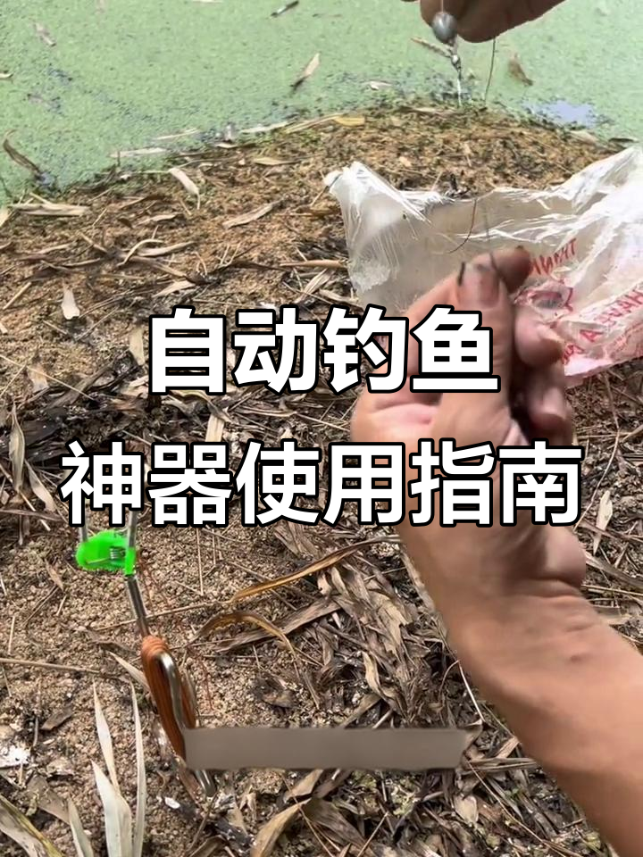弹簧地插自动钓鱼神器,轻松钓甲鱼、黄拉丁等鱼类