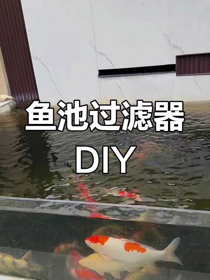 自制小鱼池过滤系统,效果出乎意料!