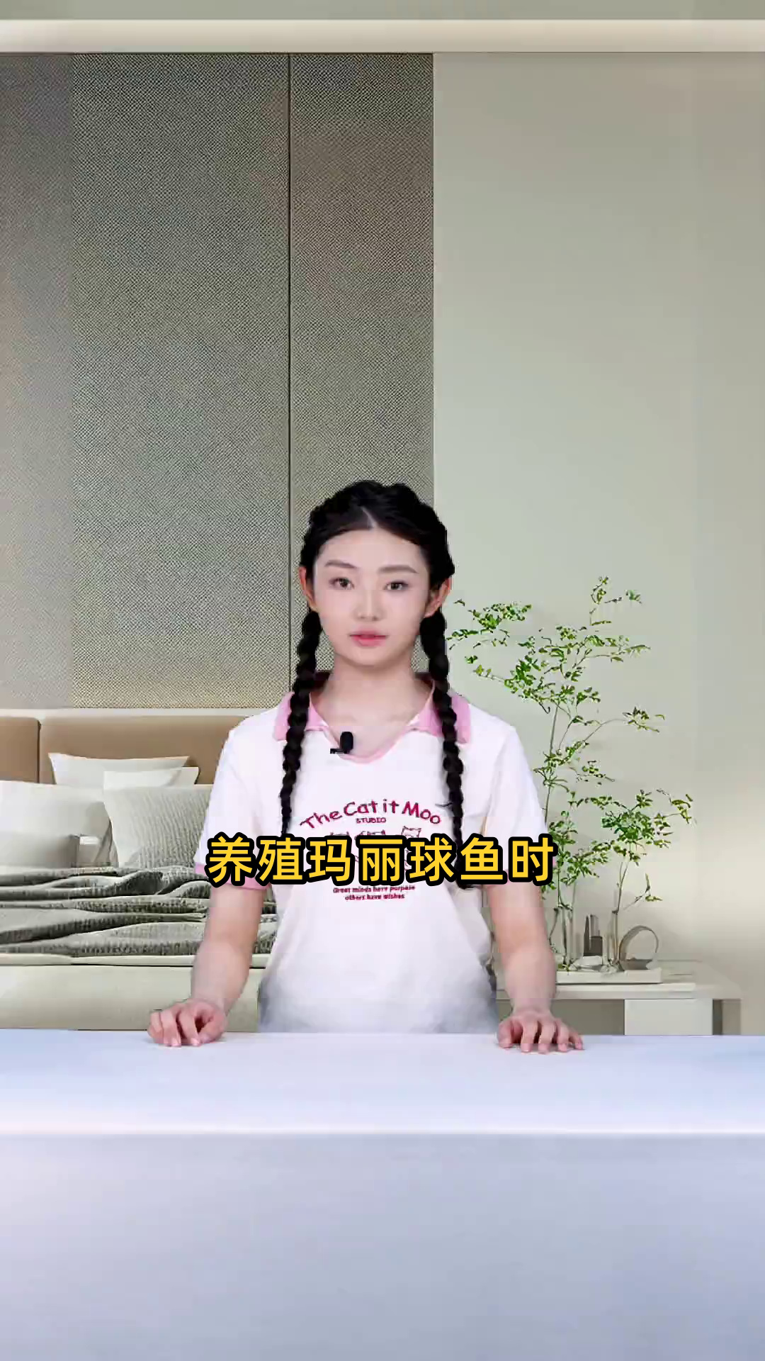 玛丽球鱼的养殖方法和注意事项是什么?如何科学饲养?