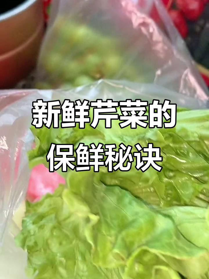 刚买芹菜新鲜如初,冰箱里放一晚还是一样鲜嫩