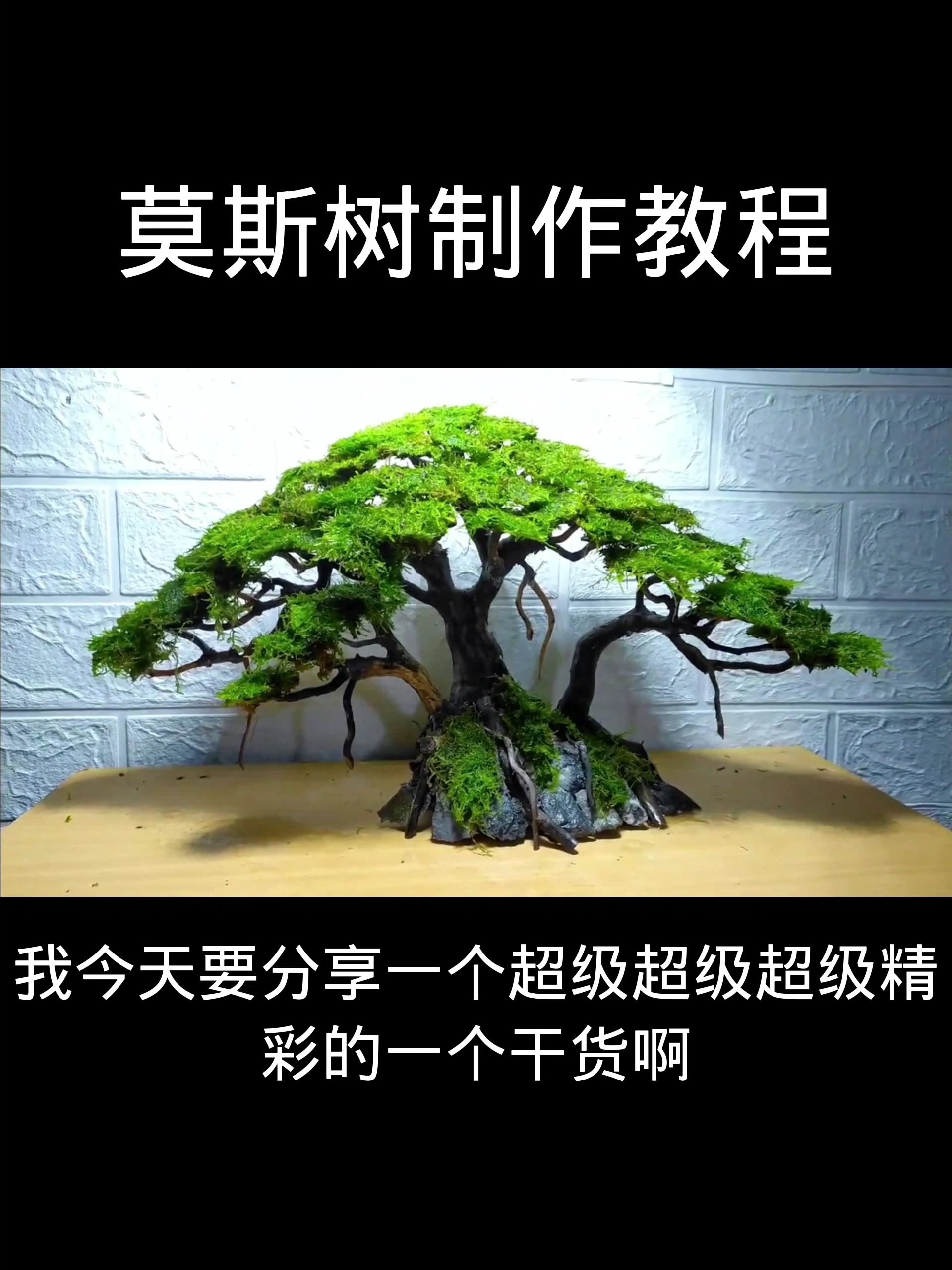 鱼缸造景,制作莫斯树教程,让你一看就会