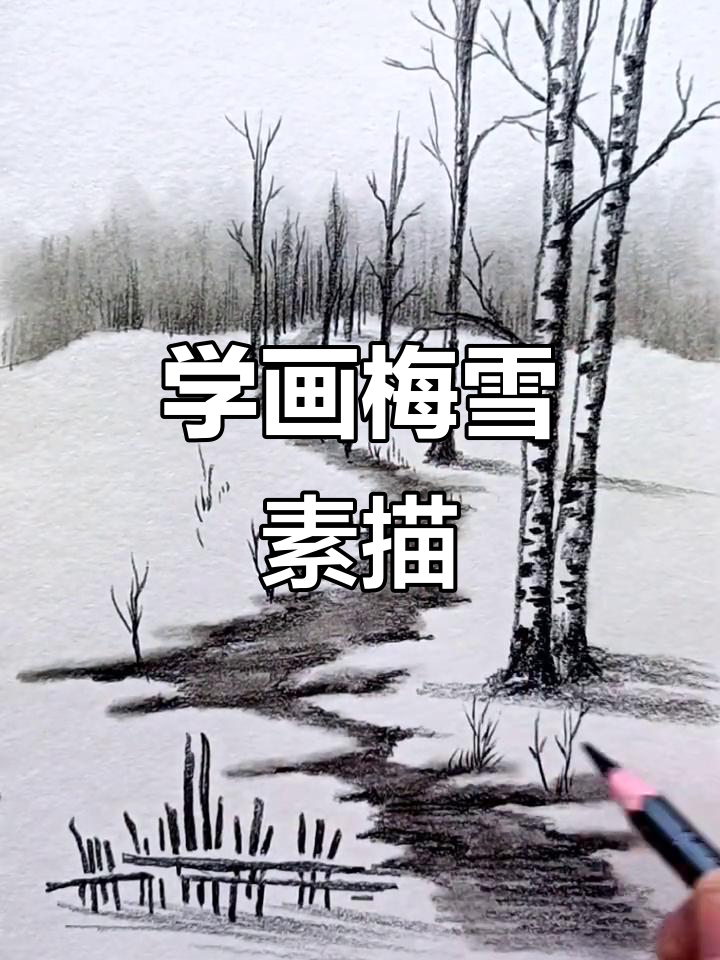 雪中梅花,素描技艺大挑战