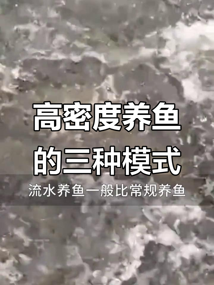 高密度养鱼三大方式,网箱、围栏与流水养殖解析