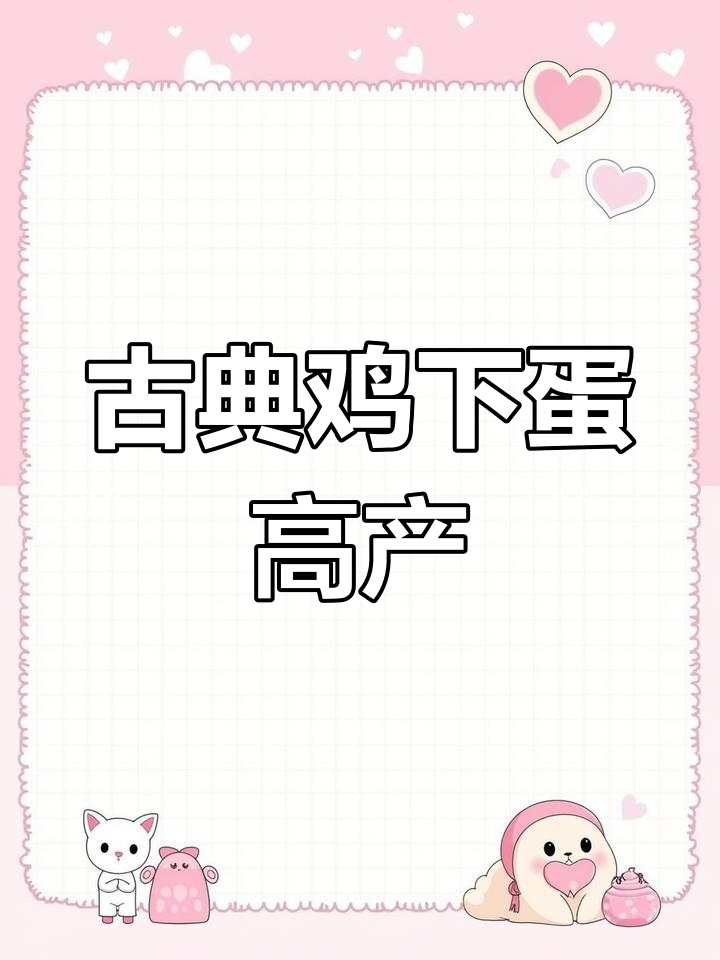 古典鸡:观赏与食用两不误,产蛋多又好养