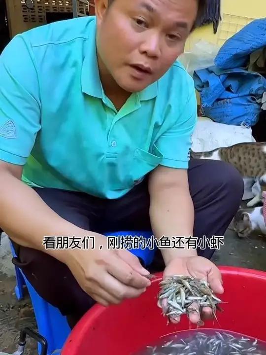 挑出来一盆跳跳虾用来凉拌 泰国大叔泰国美食内容启发搜索种草激励计划全民任务