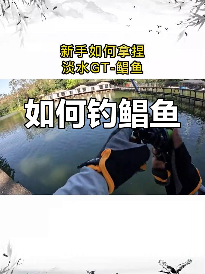 淡水鲳鱼钓法技巧分享