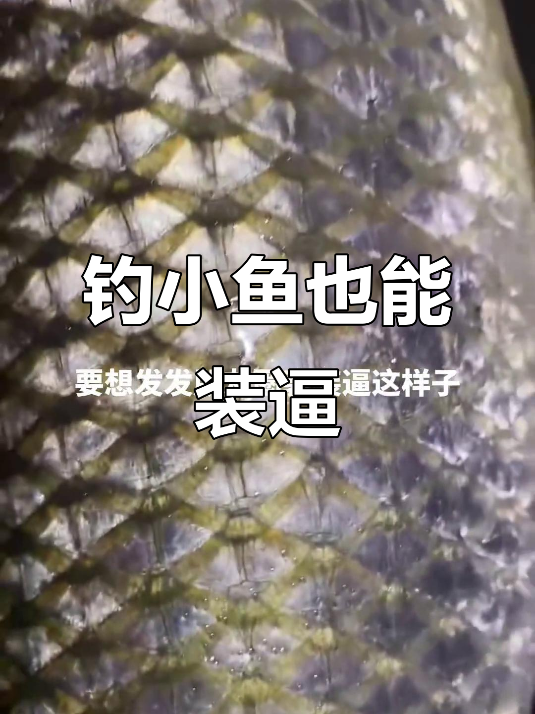 钓鱼不装逼,怎么发朋友圈?教你拍出大鱼效果