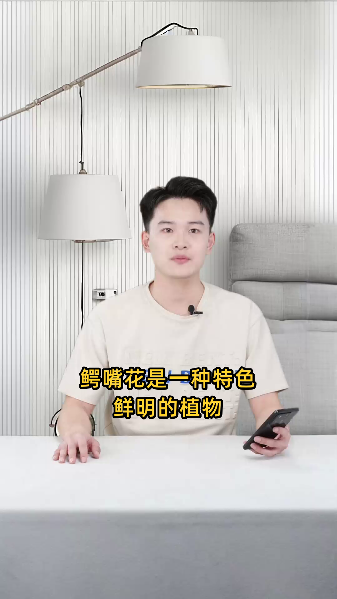 鳄嘴花的形态特征、生长环境及药用价值是什么?