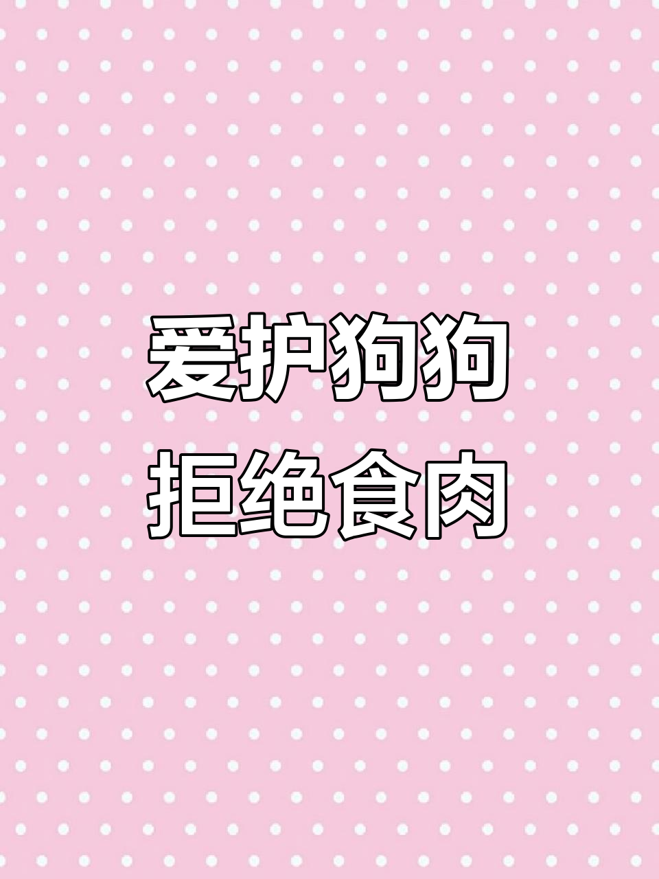 不吃狗肉,守护生命的故事
