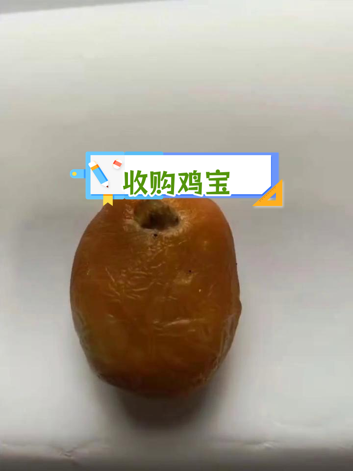 连云港鸡宝鉴定与回收