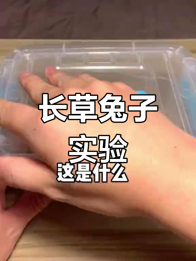 面包娃娃能长草?