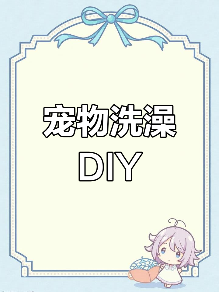 宠物店打工日常,惊喜客人与自制玩具