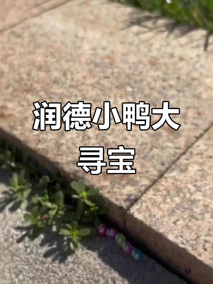 六一儿童节快乐!润德校园的小鸭子藏在哪?