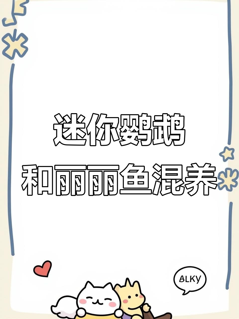 迷你鹦鹉鱼与丽丽鱼的混养经验分享