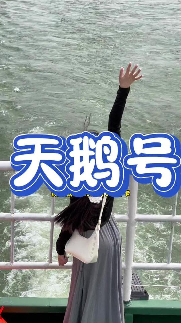 39.9黄河天鹅号，邮轮票刚刚上线