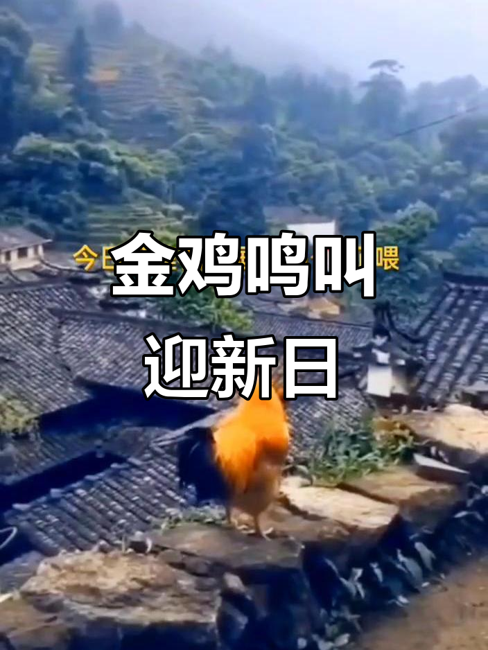 莲花山金鸡报晓,晨光初照美景尽显