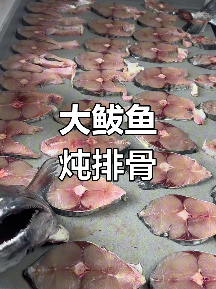 老板大发福利,20斤鲅鱼炖排骨