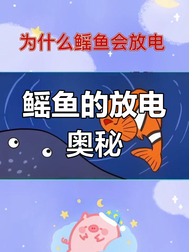 鳐鱼如何利用电流保护自己