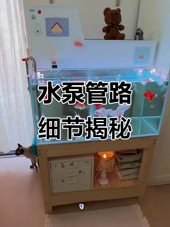 鱼缸过滤水泵管件全解析,新手必看!