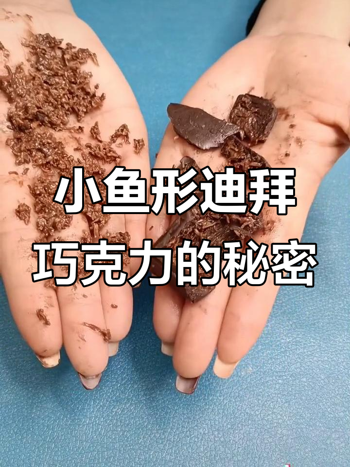 迪拜巧克力大揭秘!小鱼形状的开心果口味,超有趣