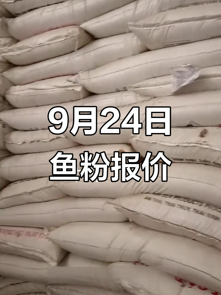 9月24日鱼粉价格大揭秘,秘鲁、俄罗斯等国行情一览