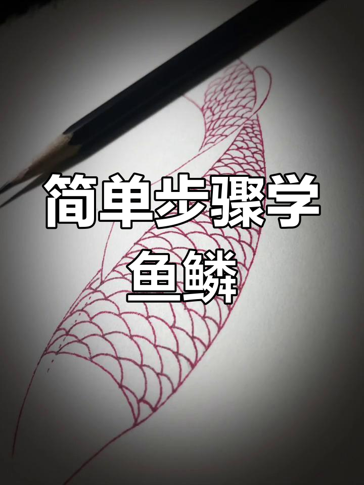 轻松掌握鱼鳞画法，画出栩栩如生的效果