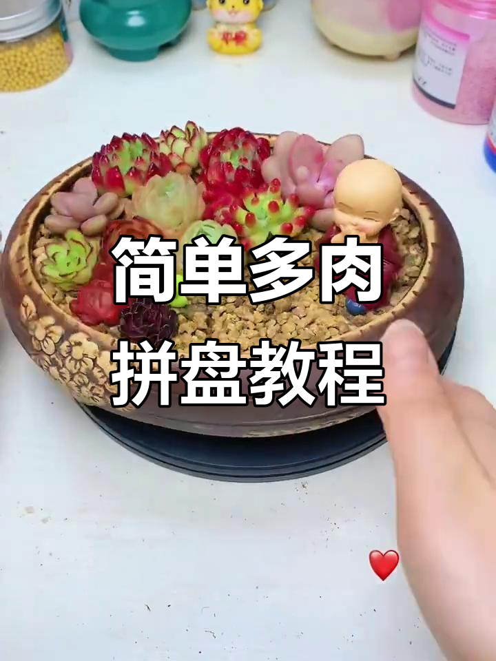 多肉拼盘种植全攻略,轻松打造个性化花盆
