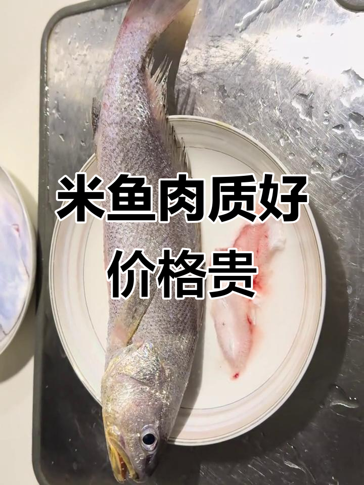 钱塘江米鱼鲜美,但150元一斤的价格让人望而却步