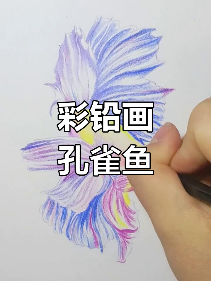 用彩铅轻松画出孔雀鱼,步骤简单又有趣!