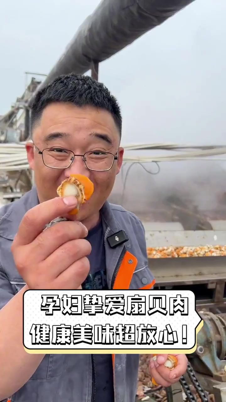 孕妇挚爱扇贝肉,健康美味超放心!