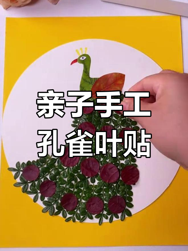 冬季手抄报,简单又好看